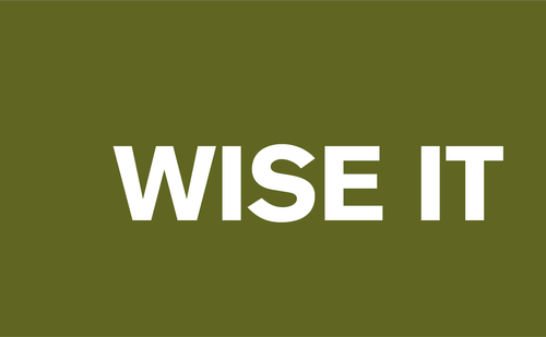 WISE IT website